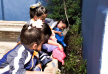 SEA UMN celebra centenario de la DIA “Sembrando Esperanza”